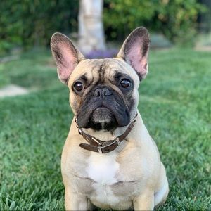 Meet your Posher, Carly